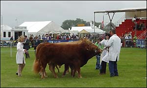 Pembrokeshire Show