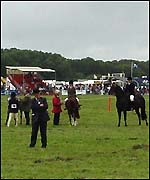 Pembrokeshire Show