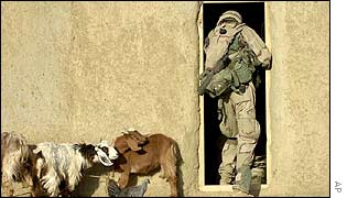 A US soldier searches a building