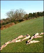 Sussex protesters stage a naked anti-war protest