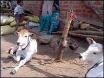 विदर्भ का एक किसान परिवार