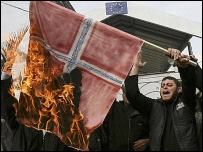 Manifestante queima bandeira da Dinamarca
